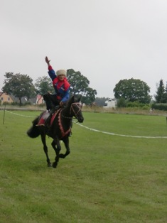 Unsere Kosakenpferde: Kavkas